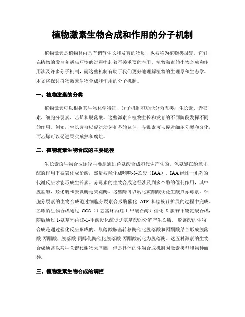 植物激素生物合成和作用的分子机制