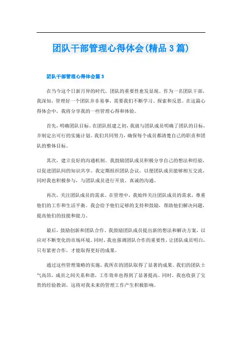 团队干部管理心得体会(精品3篇)