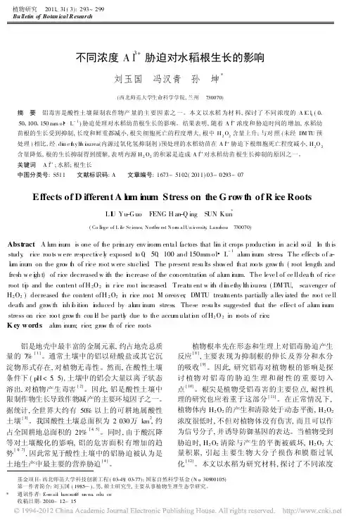 不同浓度Al_3_胁迫对水稻根生长的影响