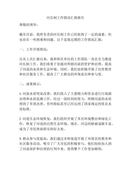 河长制工作情况汇报报告