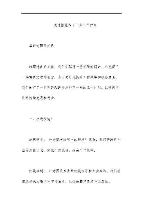 改进措施和下一步工作计划