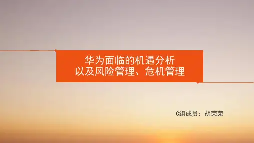 华为机遇风险分析