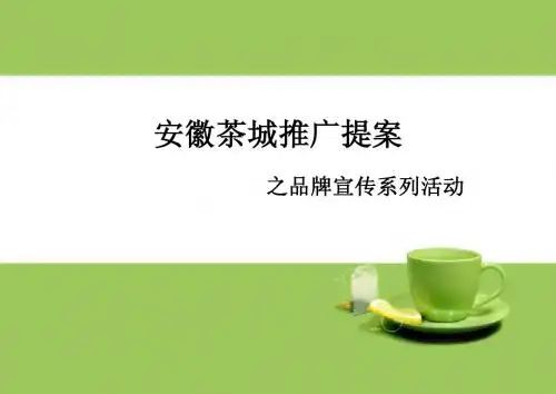 策划案例—安徽茶城推广全案