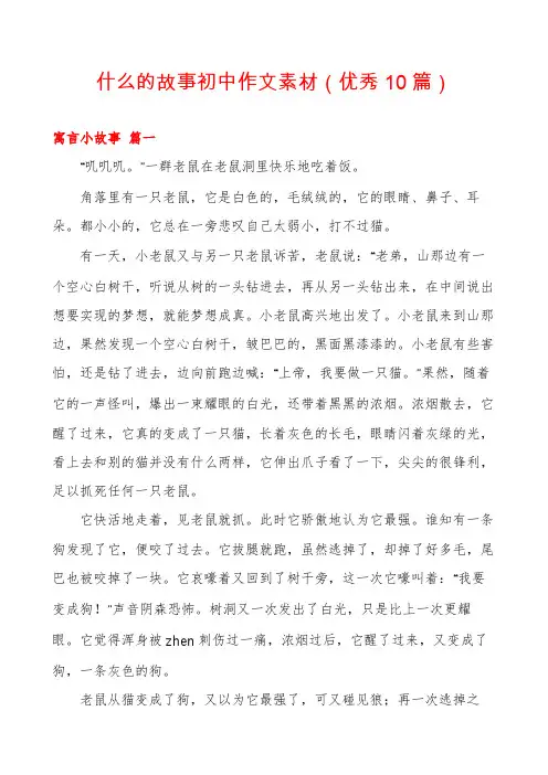 什么的故事初中作文素材(优秀10篇)