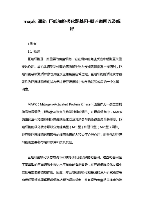 mapk 通路 巨噬细胞极化靶基因-概述说明以及解释