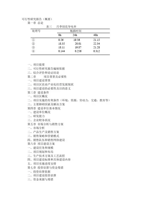可行性研究报告
