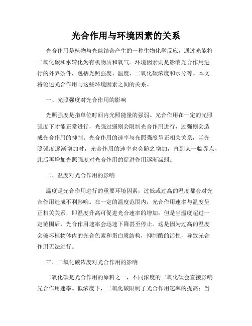 光合作用与环境因素的关系