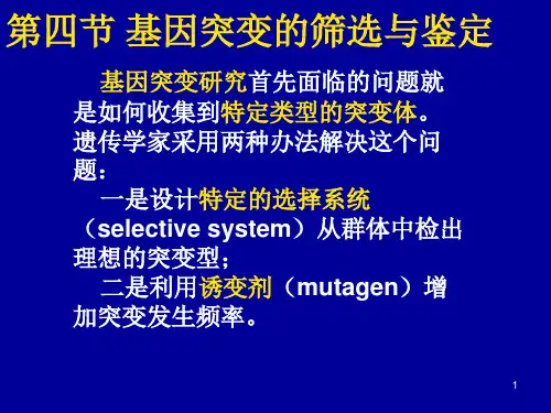 《遗传学》第五章基因突变：第四节 基因突变的筛选与鉴定