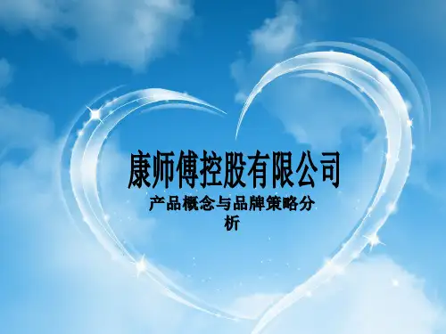 某公司品牌策略分析课件.pptx