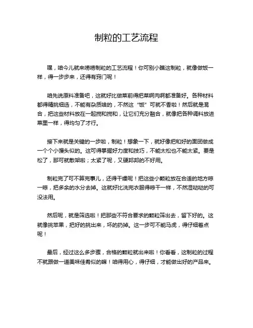 制粒的工艺流程