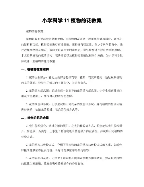 小学科学11植物的花教案