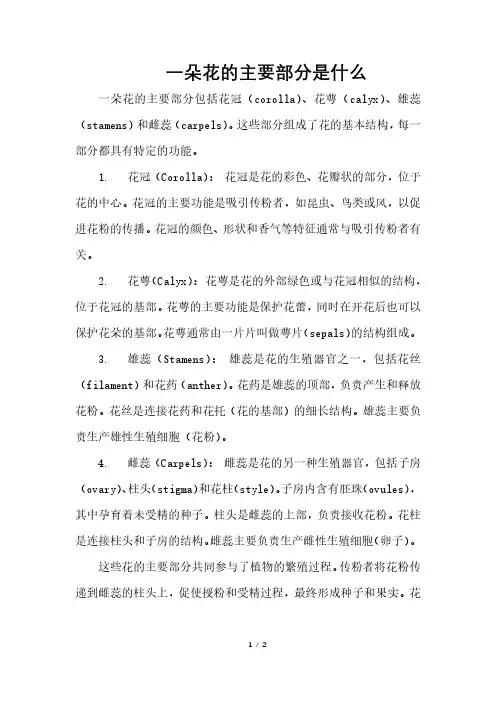 一朵花的主要部分是什么