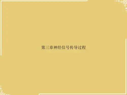 第三章神经信号传导过程【共26张PPT】