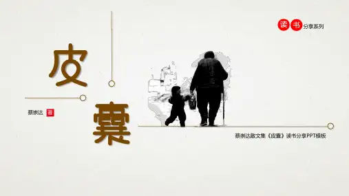 皮囊读书笔记分享PPT课件(读书笔记)
