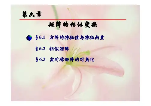 第6章 矩阵的相似变换