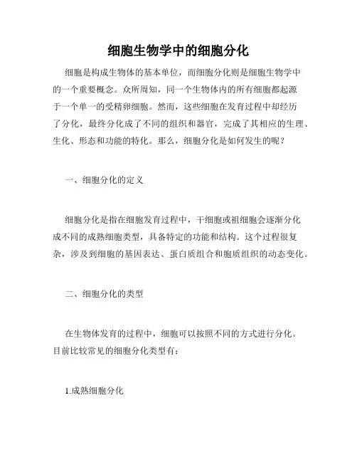 细胞生物学中的细胞分化