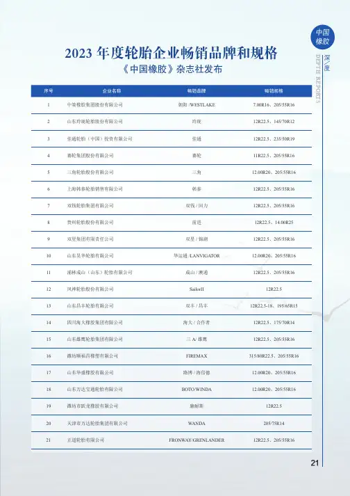 2023_年度轮胎企业畅销品牌和规格