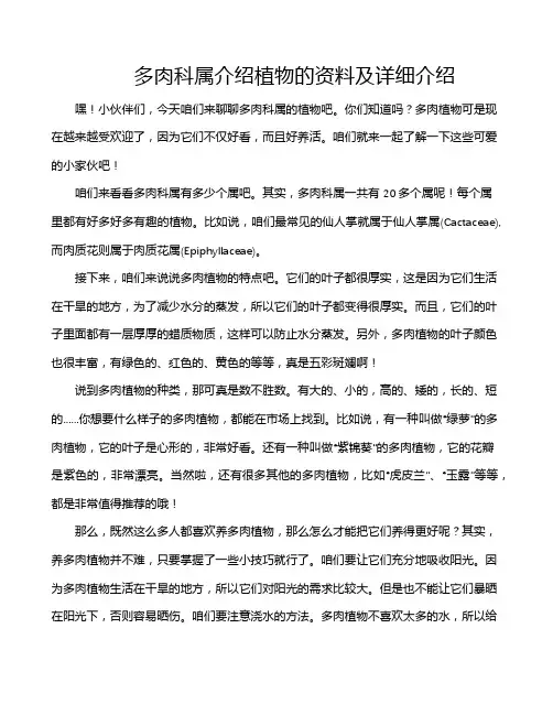 多肉科属介绍植物的资料及详细介绍