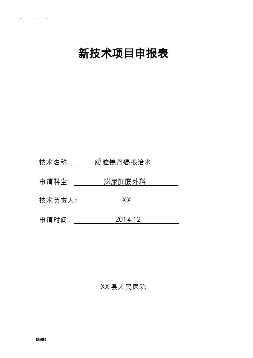 新技术项目申报表_RCC
