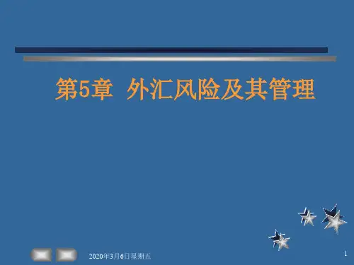外汇风险(ppt)