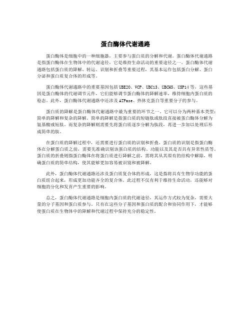 蛋白酶体代谢通路