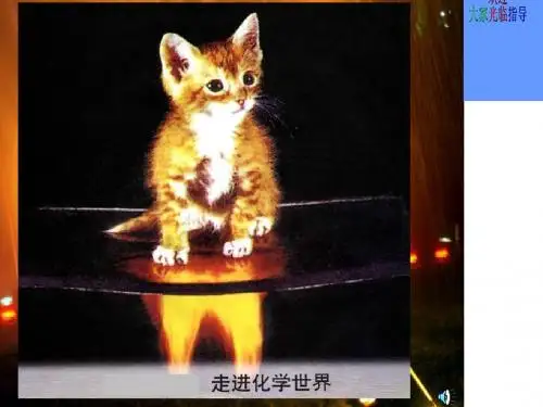 燃烧的条件PPT课件4