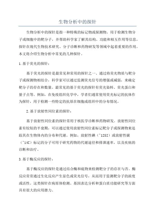 生物分析中的探针