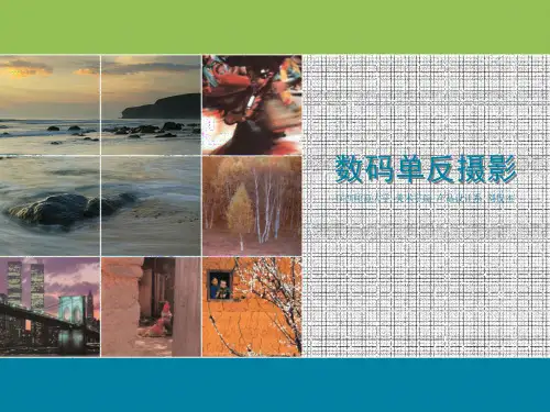 江西师范大学刘俊杰数码单反摄影精品讲义 4构图 2020版