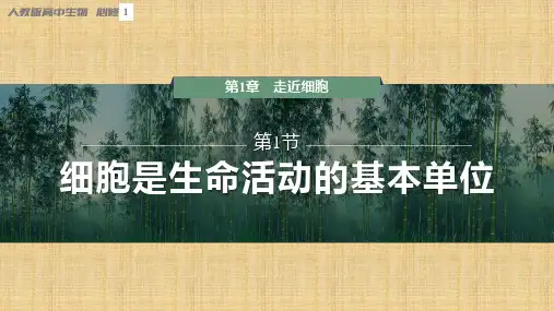 【课件】细胞是生命活动的基本单位课件高一上学期生物人教版必修1