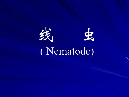 线虫概论、蛔、蛲