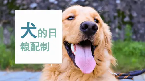 宠物饲养02-PPT：犬的营养需要与日粮调制_11