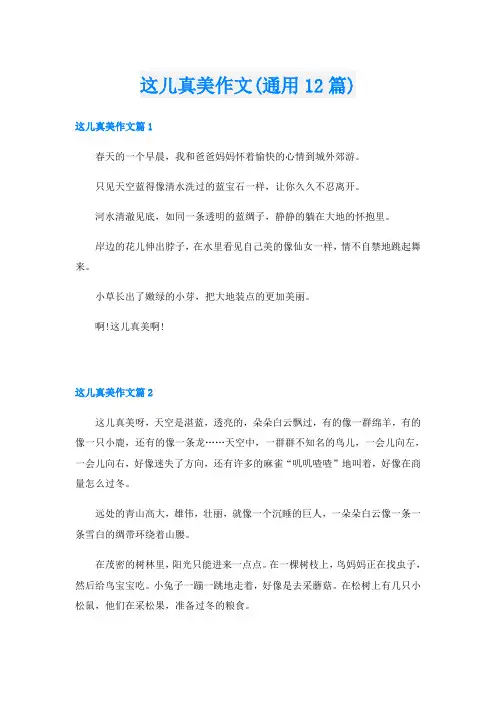 这儿真美作文(通用12篇)