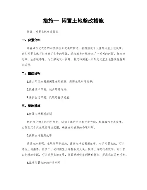 措施— 闲置土地整改措施