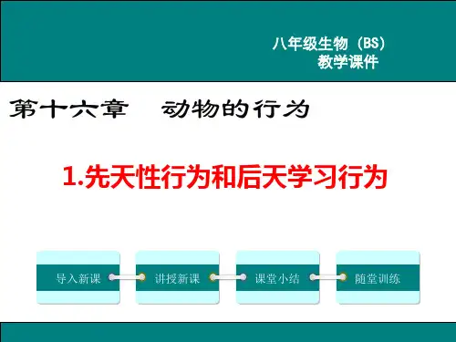 北师大版八年级生物上册第16章 动物的行为 课件PPT