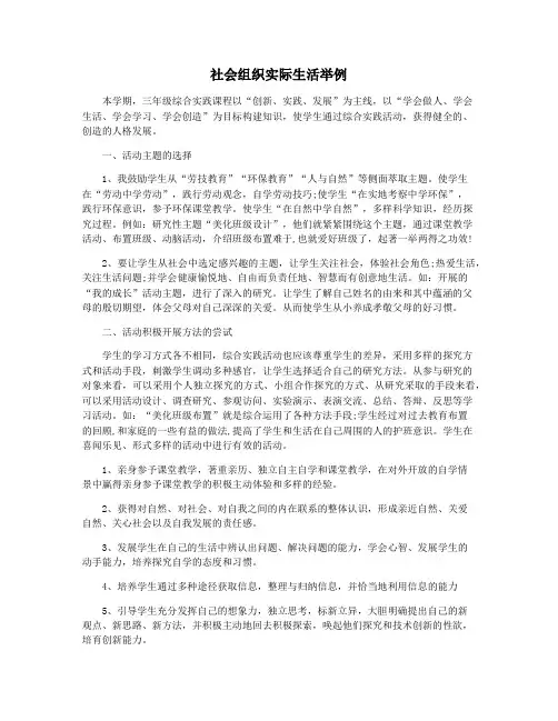 社会组织实际生活举例