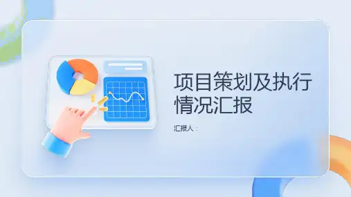 项目策划及执行情况汇报