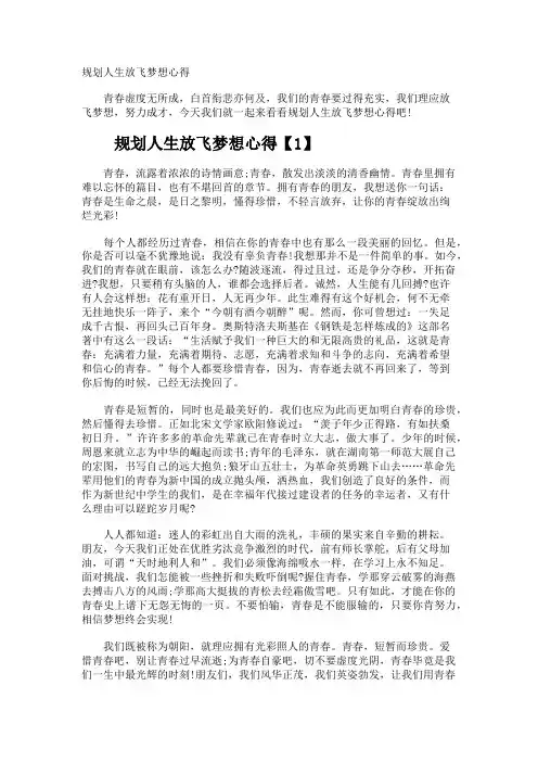 规划人生放飞梦想心得