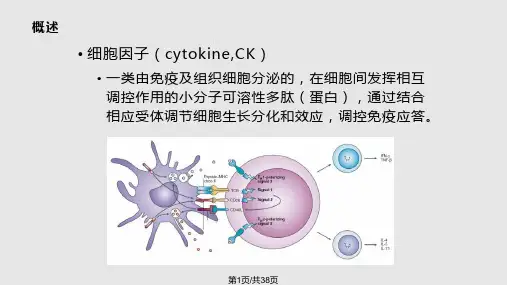 第6章细胞因子PPT课件