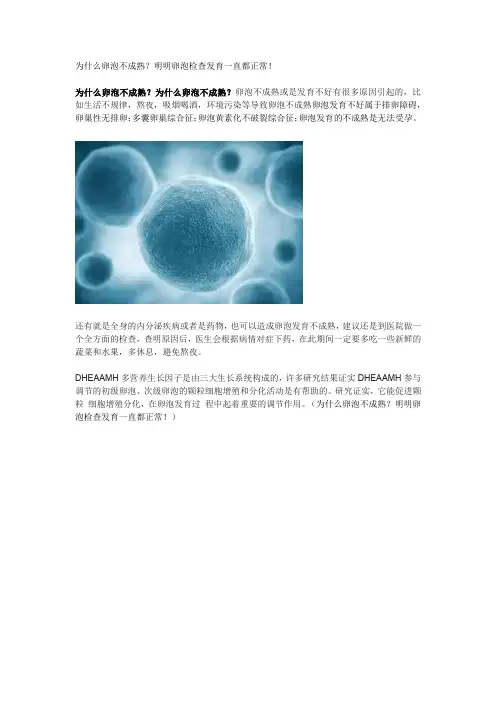 为什么卵泡不成熟
