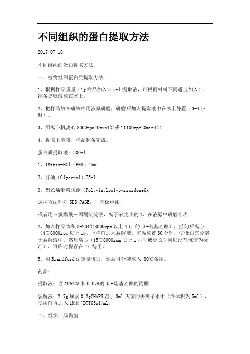 不同组织的蛋白提取方法99