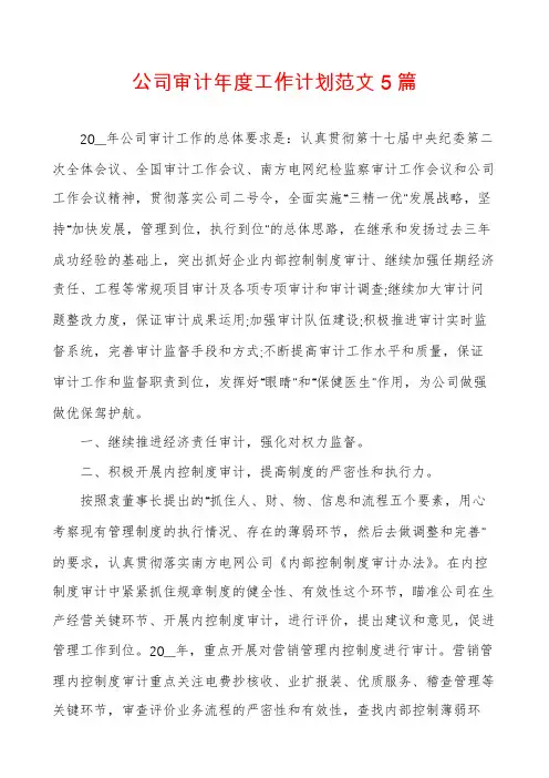 公司审计年度工作计划范文5篇
