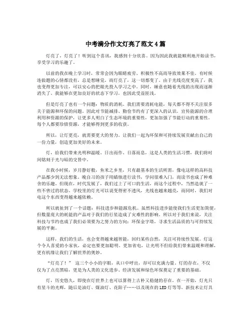 中考满分作文灯亮了范文4篇