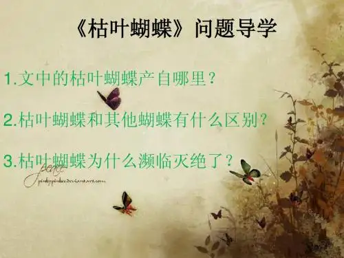 枯叶蝴蝶
