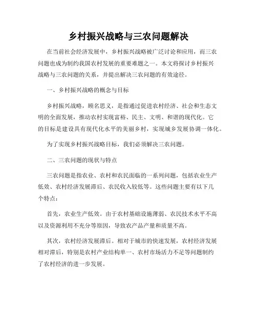 乡村振兴战略与三农问题解决