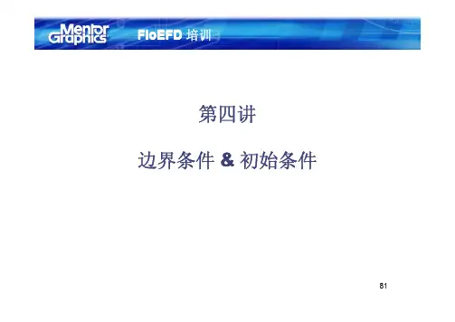 第四讲 - 边界和初始条件