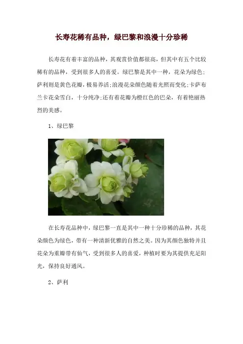 长寿花稀有品种,绿巴黎和浪漫十分珍稀