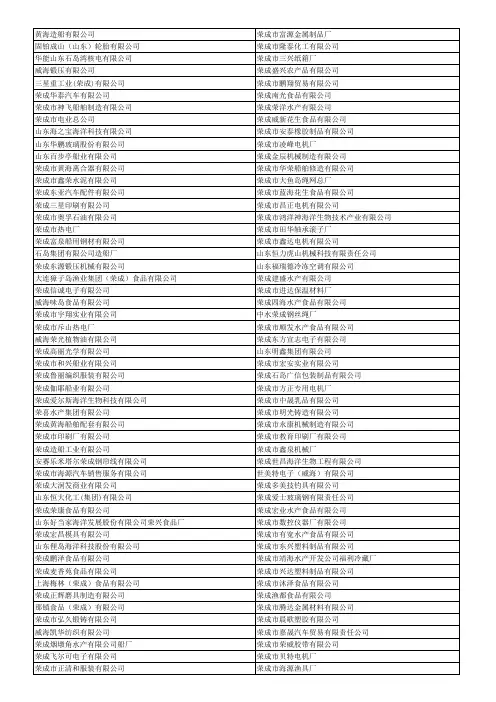 荣成企业明细