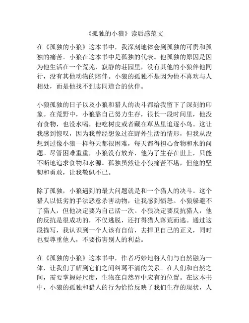 《孤独的小狼》读后感范文