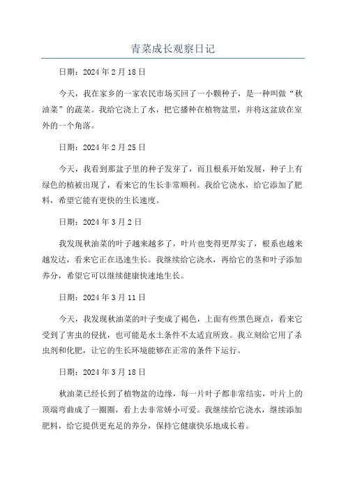 青菜成长观察日记