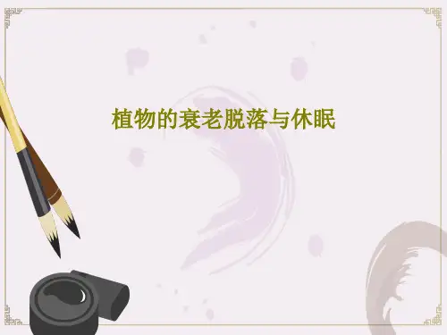 植物的衰老脱落与休眠共52页